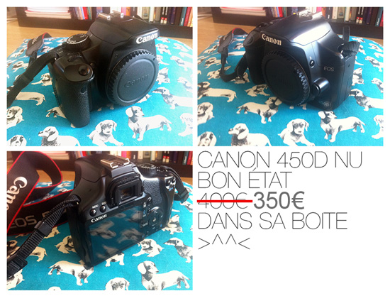 450D à vendre