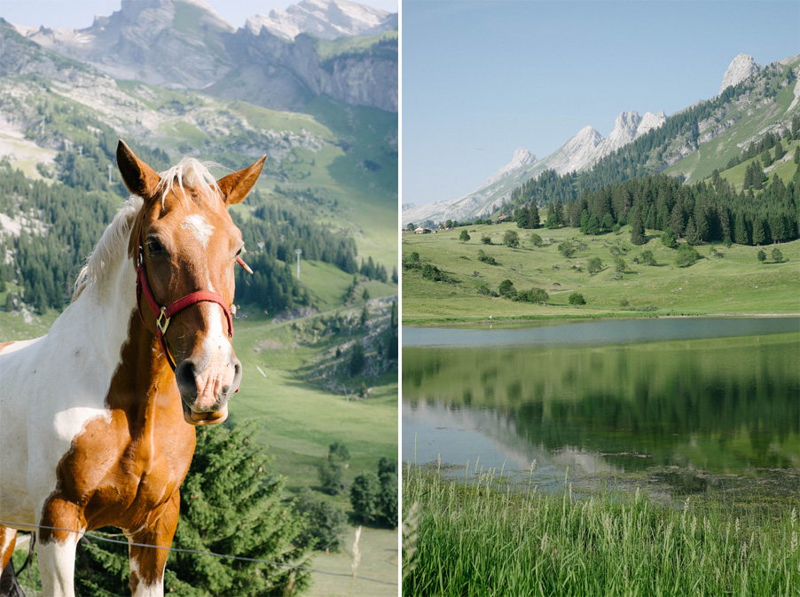 cheval lac des confins