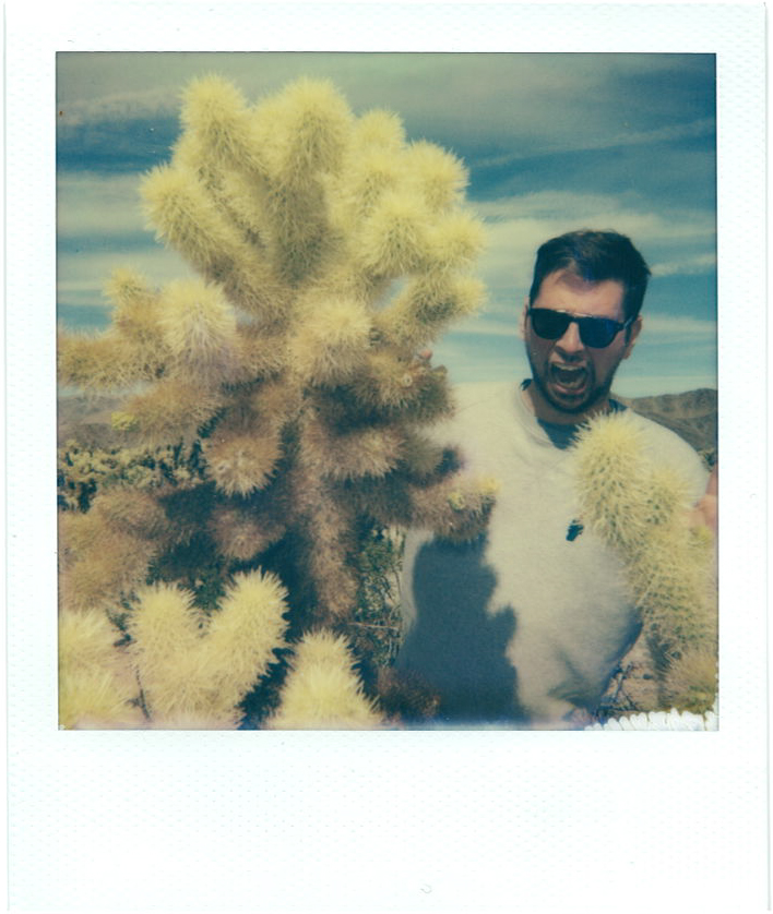 polaroid joshua tree