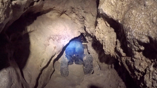 spéléologie à carlsbad caverns