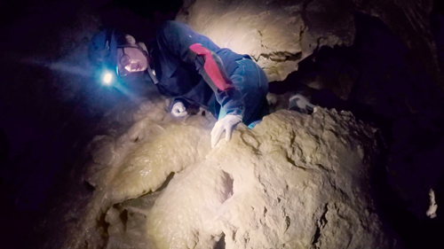 spéléologie à carlsbad caverns