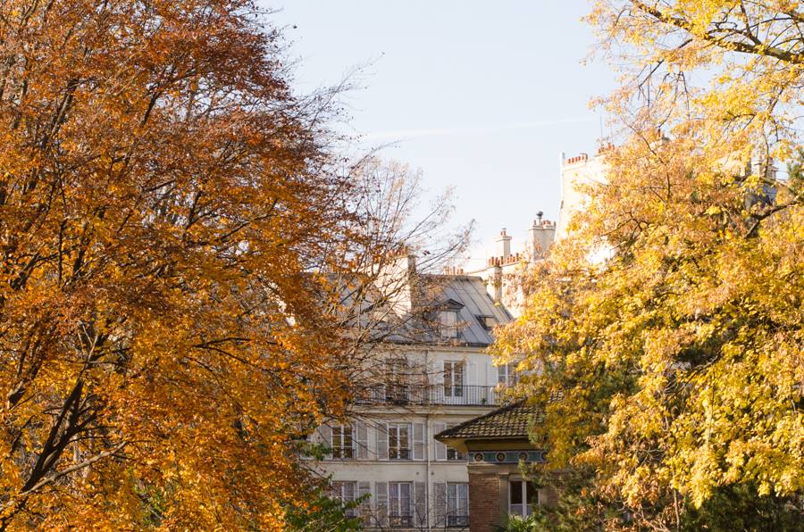 jardin du luxembourg