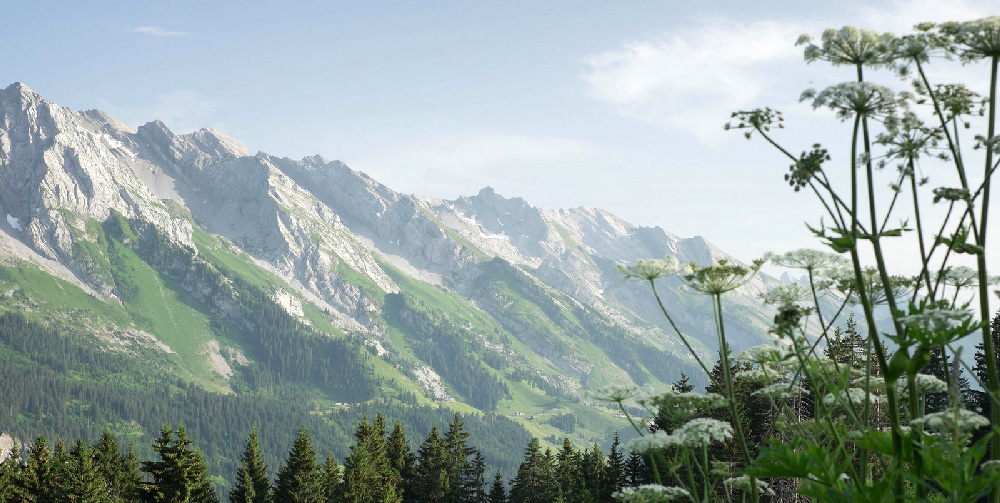 les aravis en été