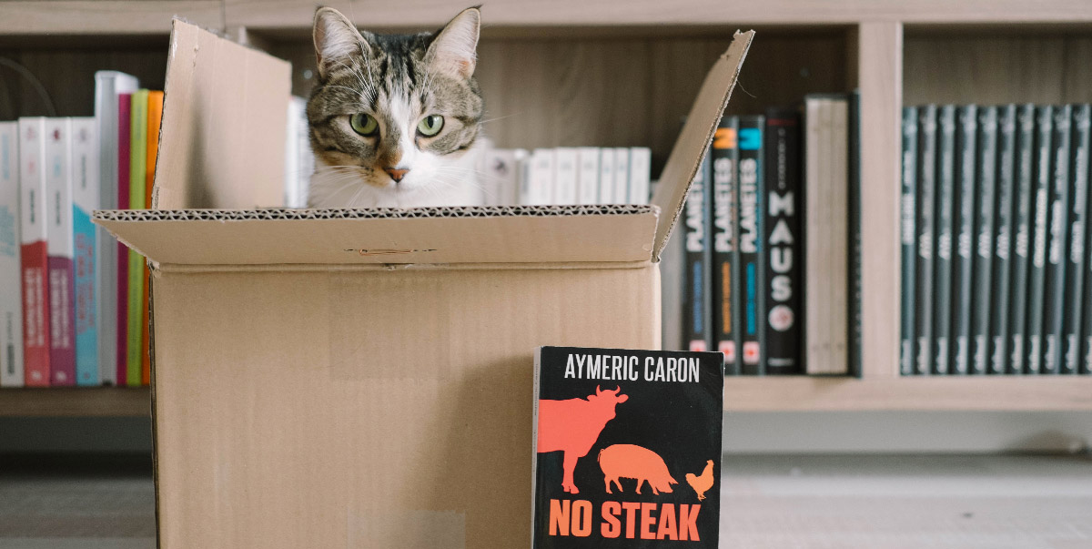no steak
