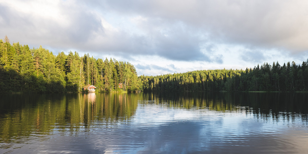 hawkhill nature finland