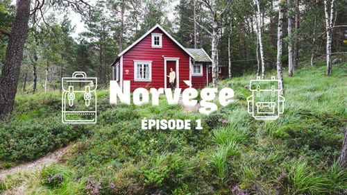 vidéo norvège