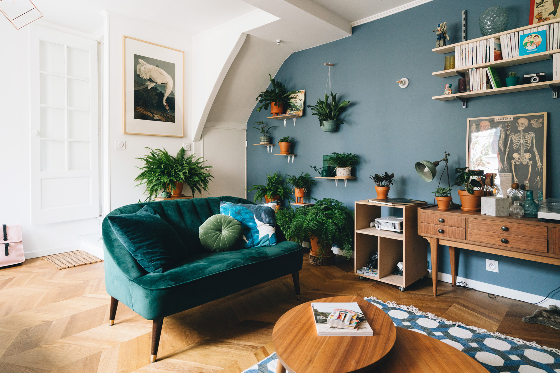 Plantes vertes : comment les placer dans la maison