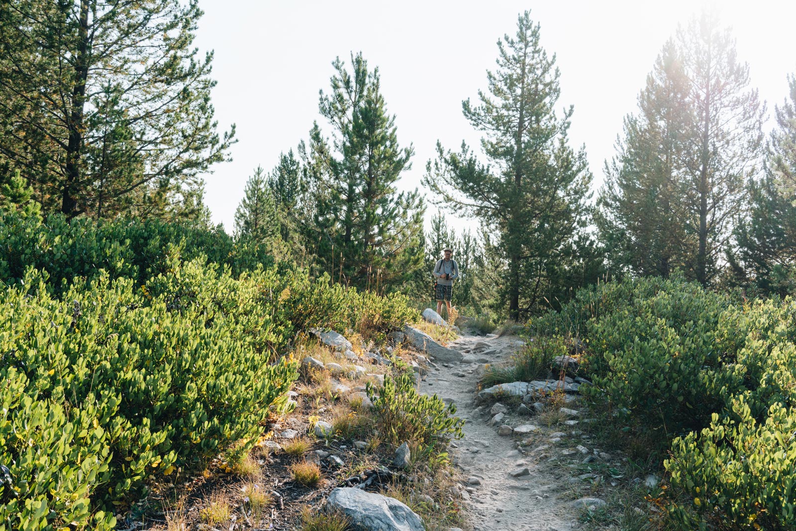 Randonnée à Grand Teton