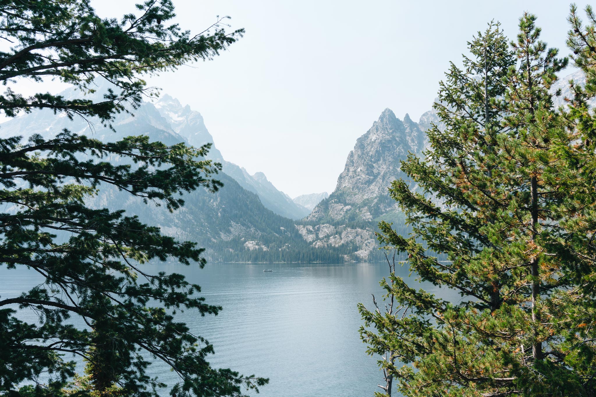 Point de vue Grand Teton