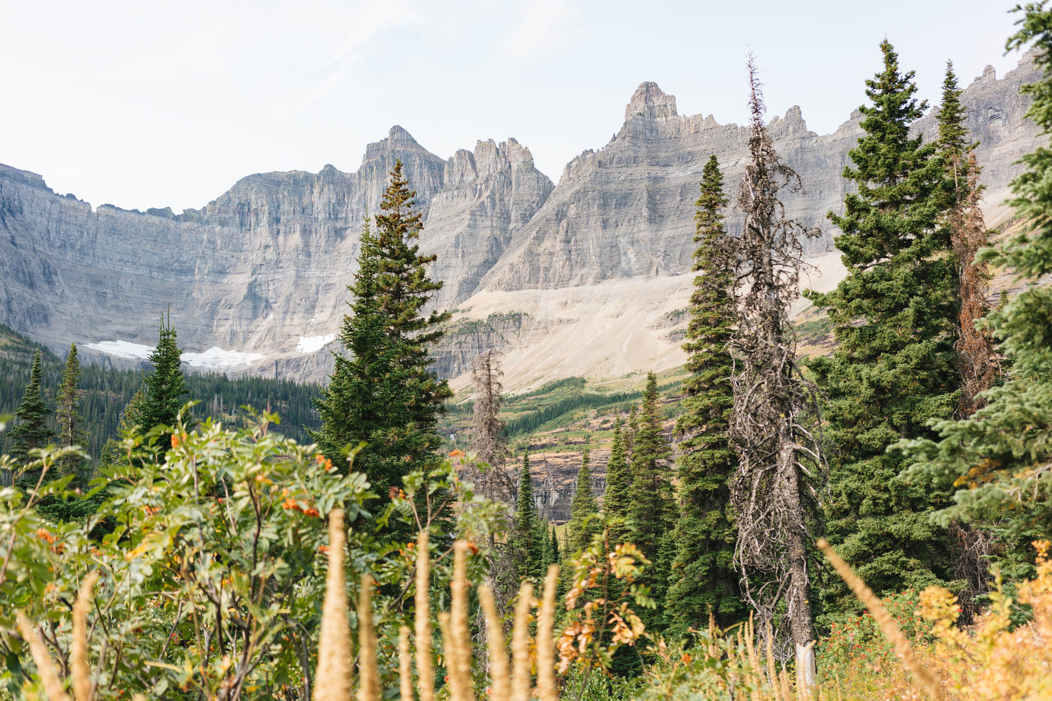 iceberg lake trail glacier national park