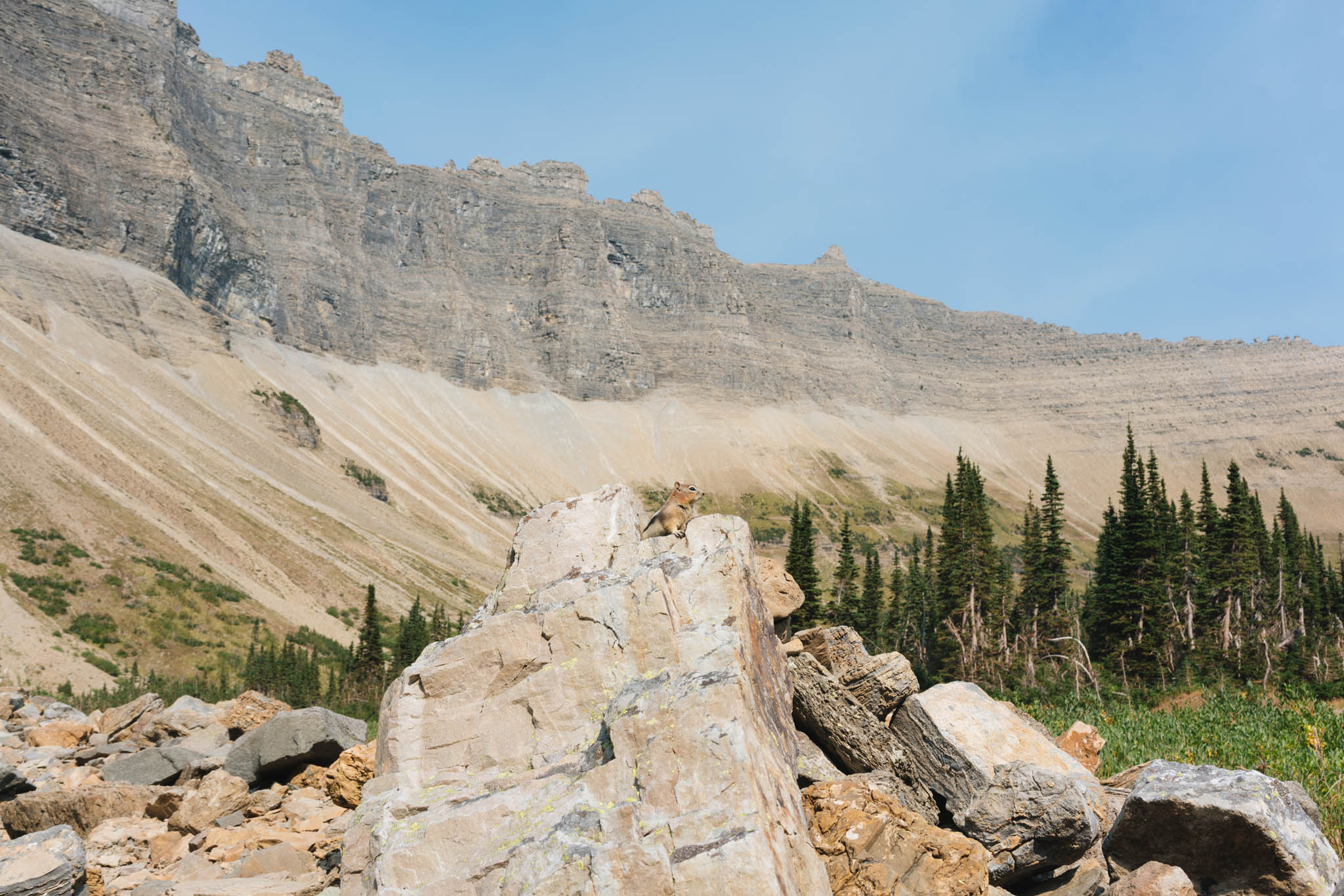 iceberg lake trail glacier national park