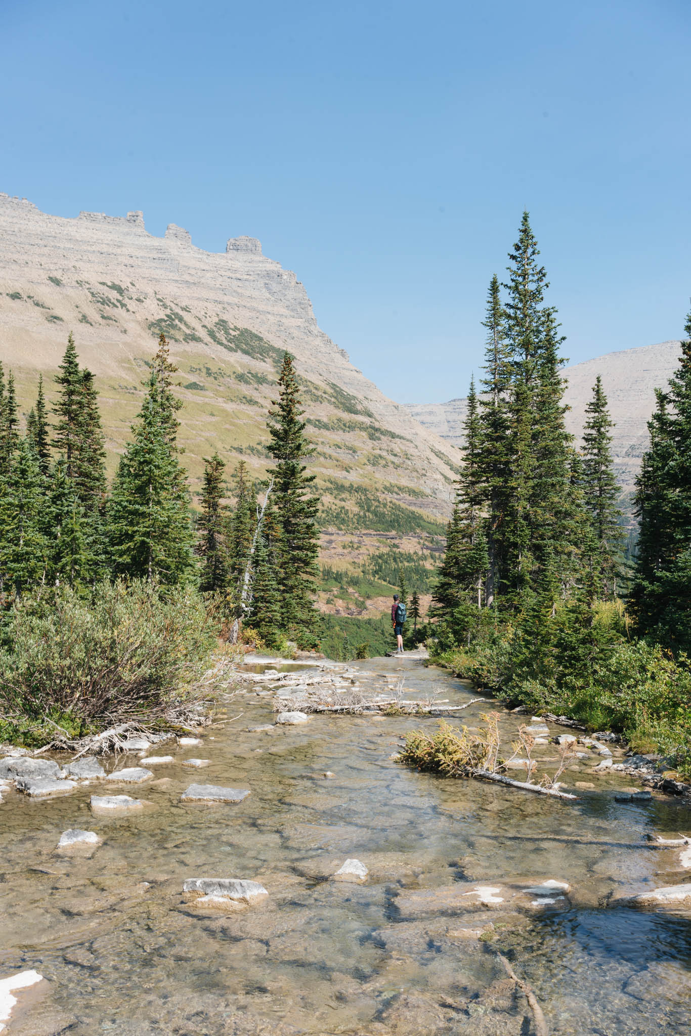 iceberg lake trail glacier national park