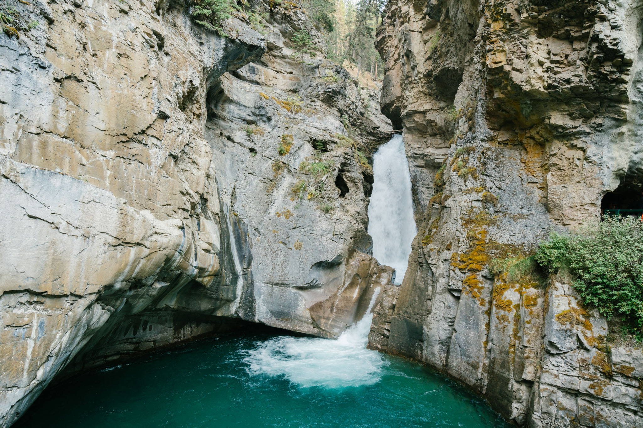 jackson canyon alberta canada