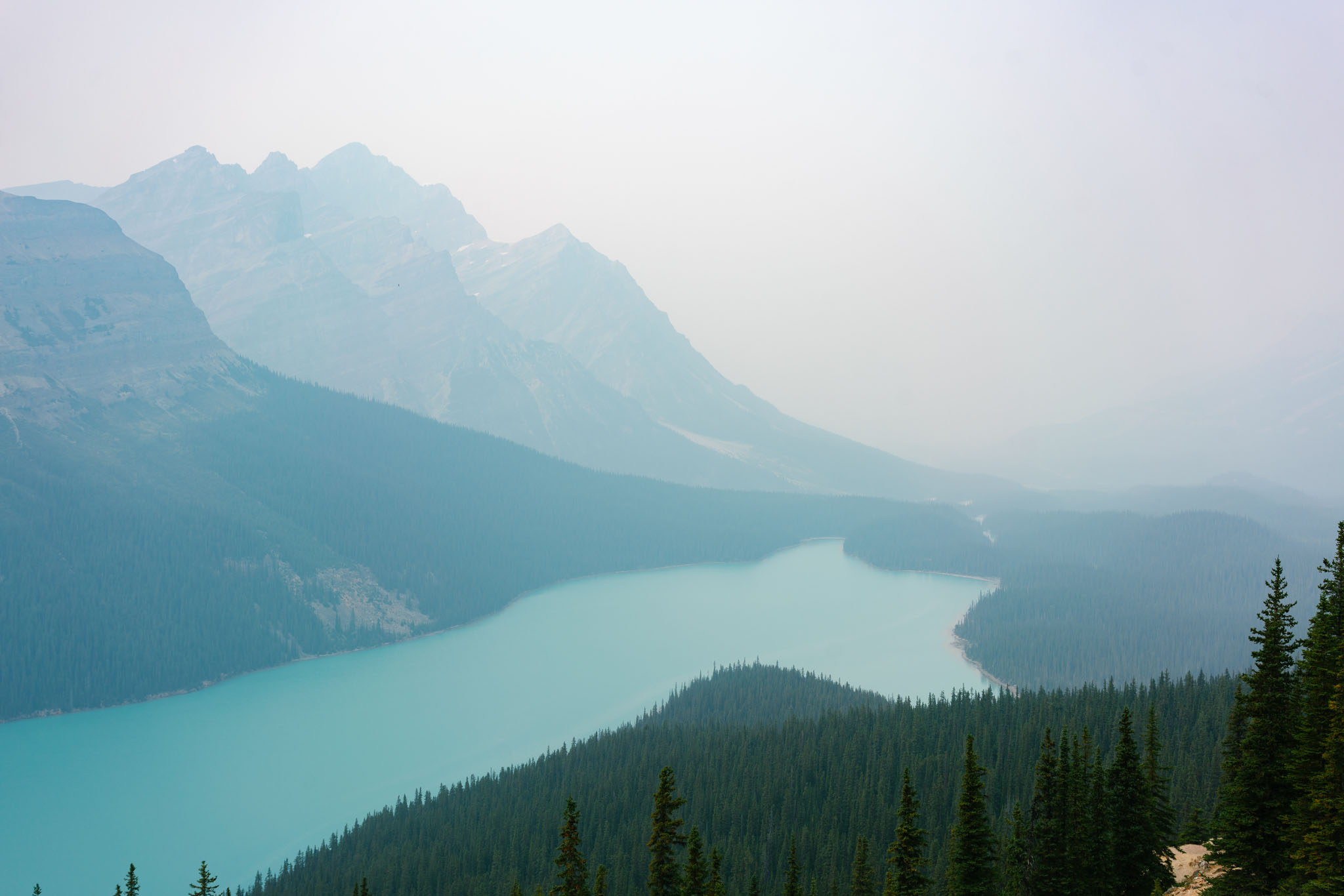 vue sur le lac peyto