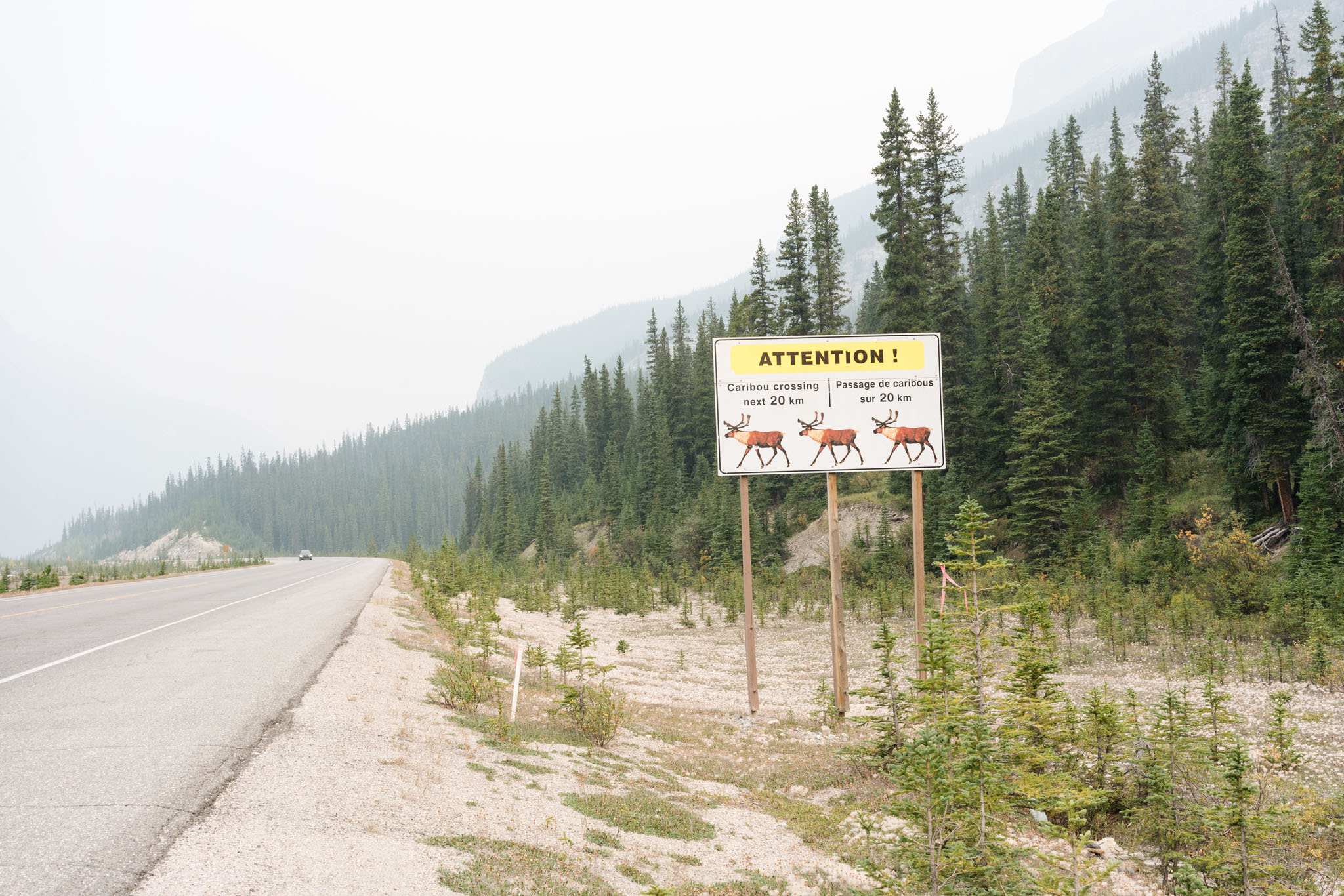 icefield parkway