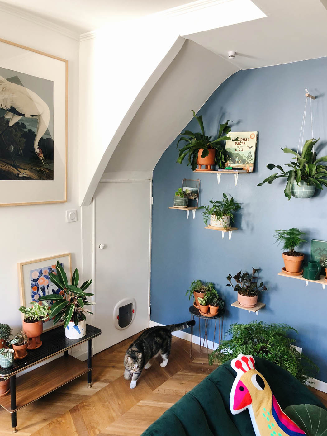 salon rempli de plantes