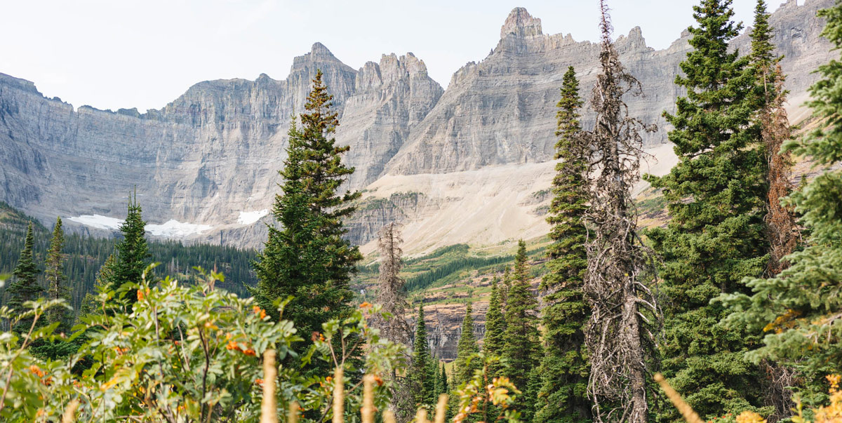 parc national de glacier