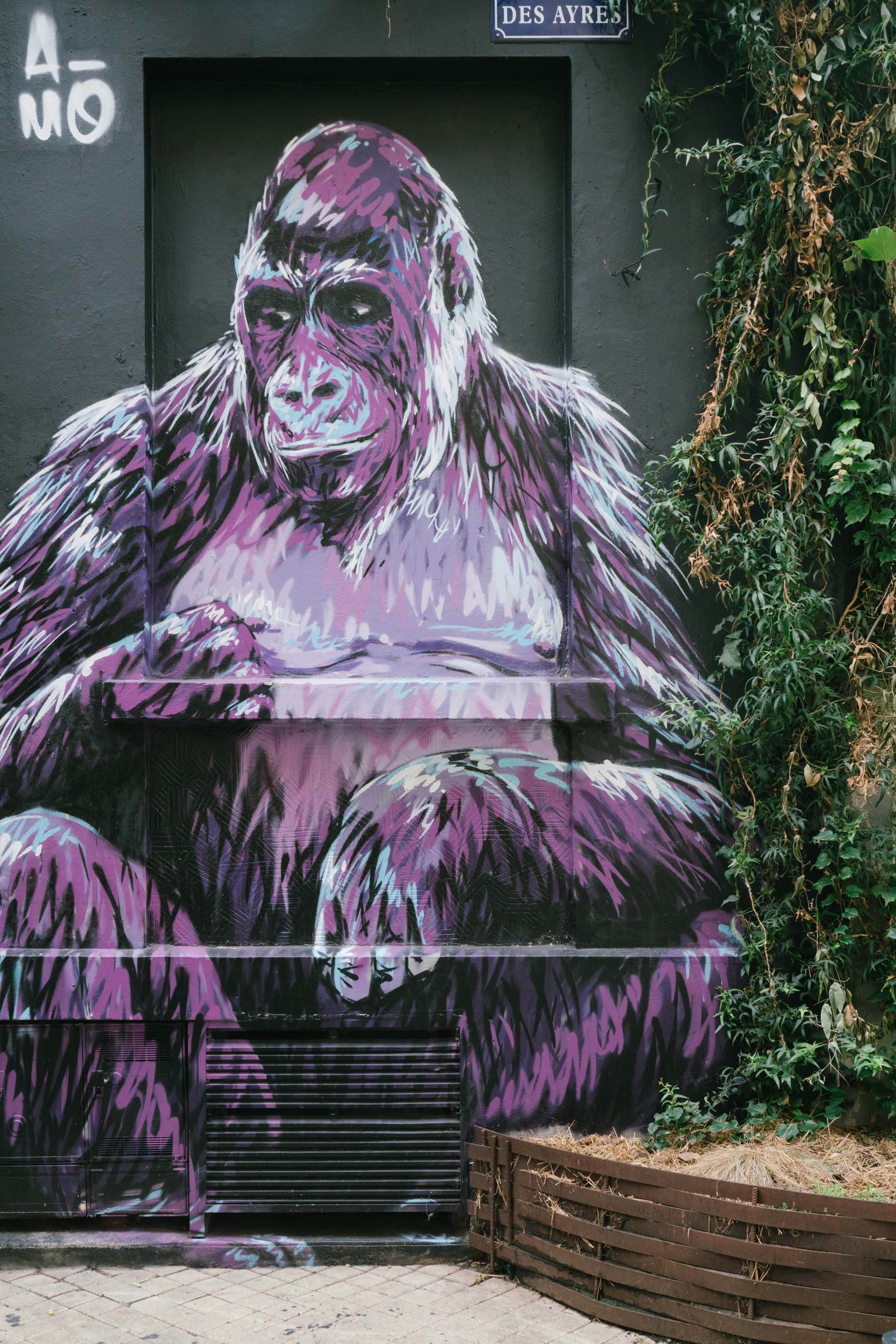 street-art bordeaux gorille