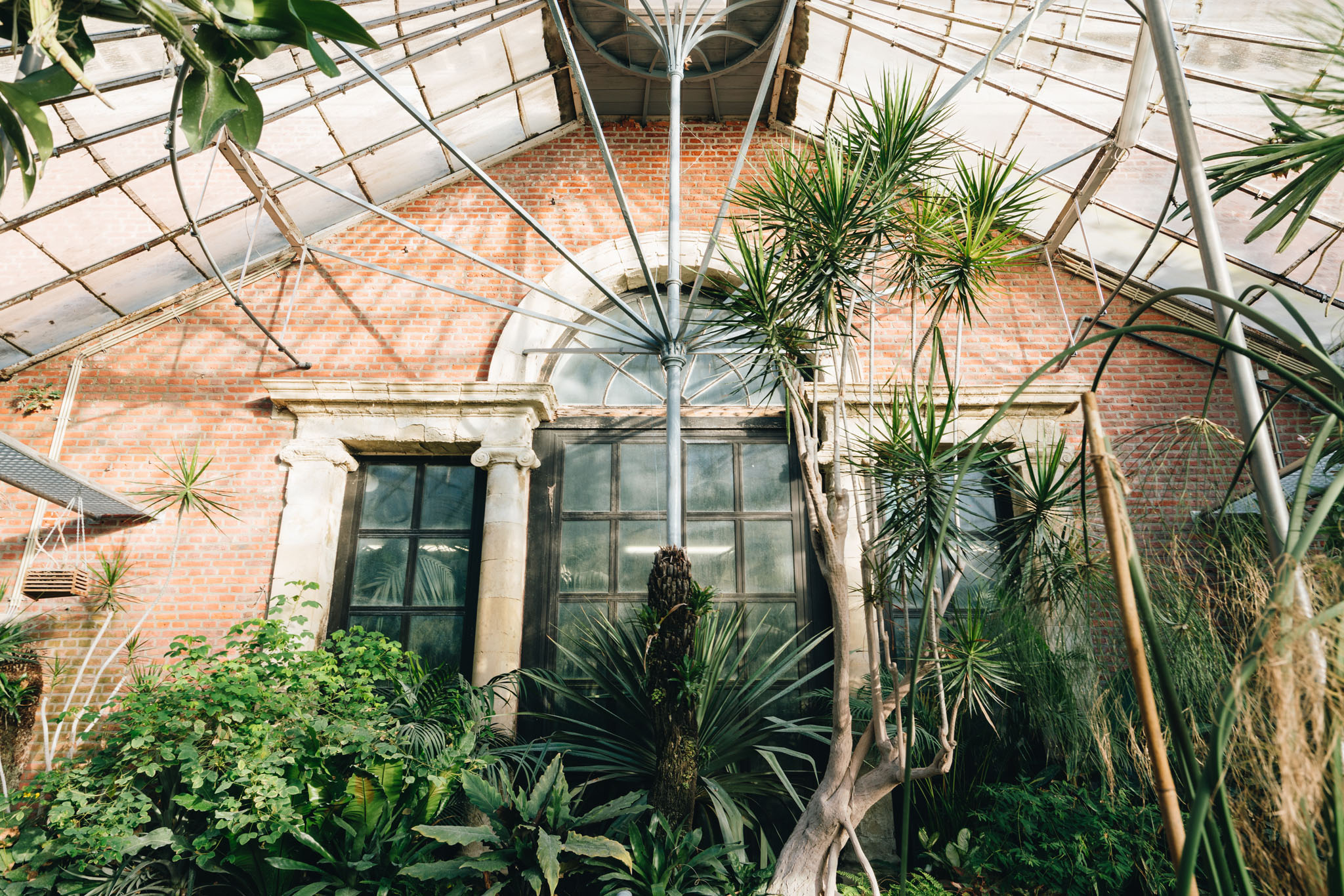 jardin botanique de louvain