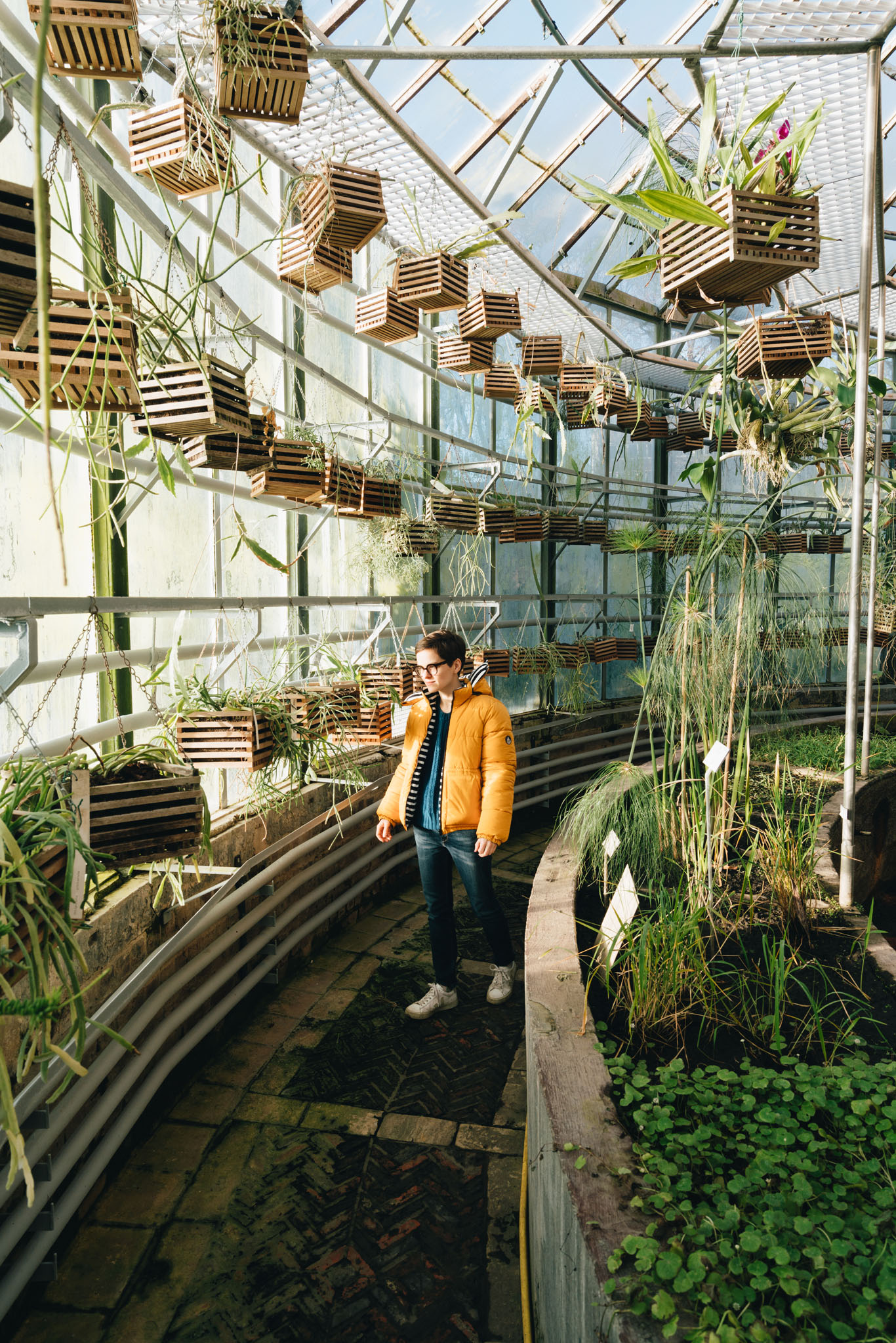 jardin botanique de louvain