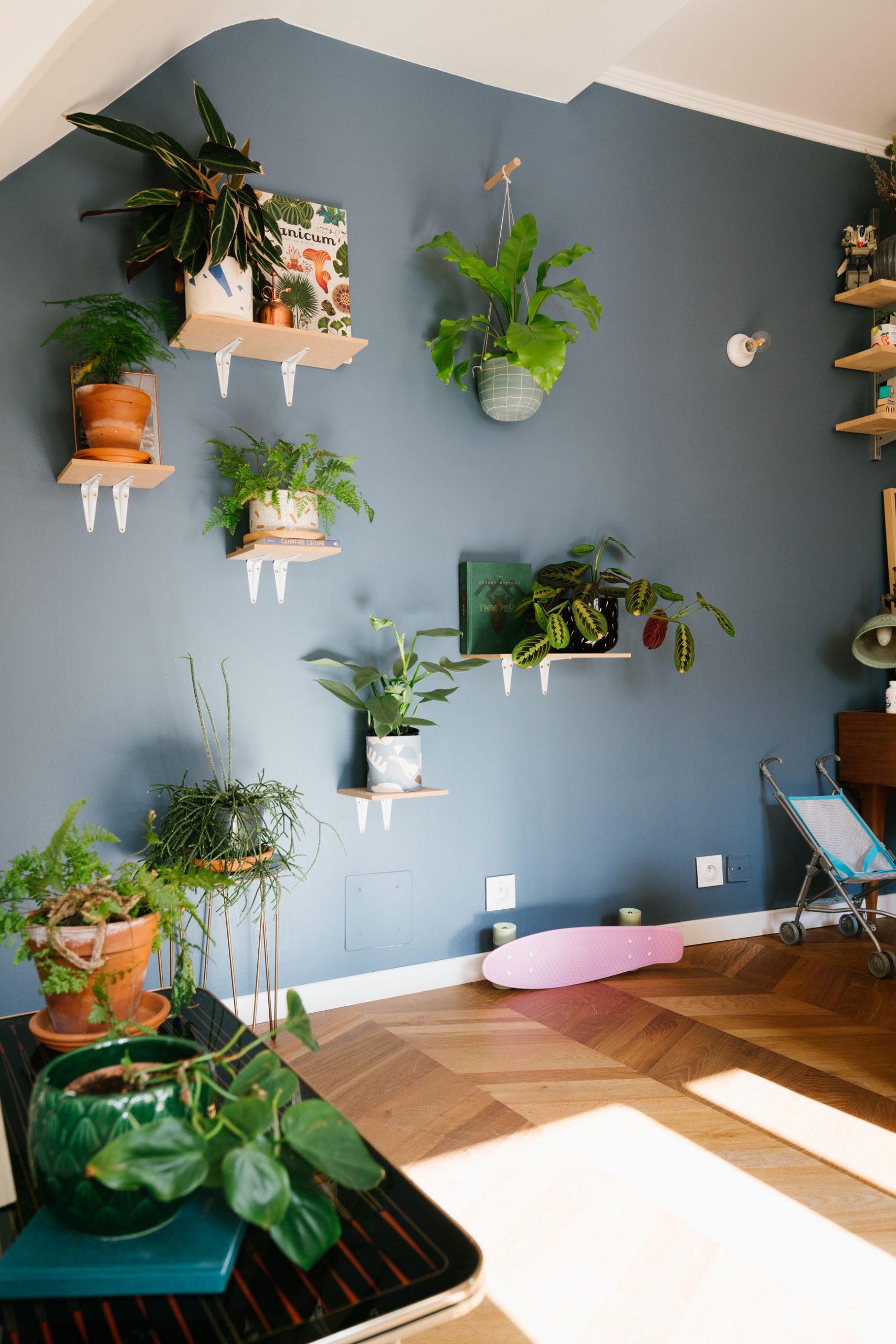 plantes salon