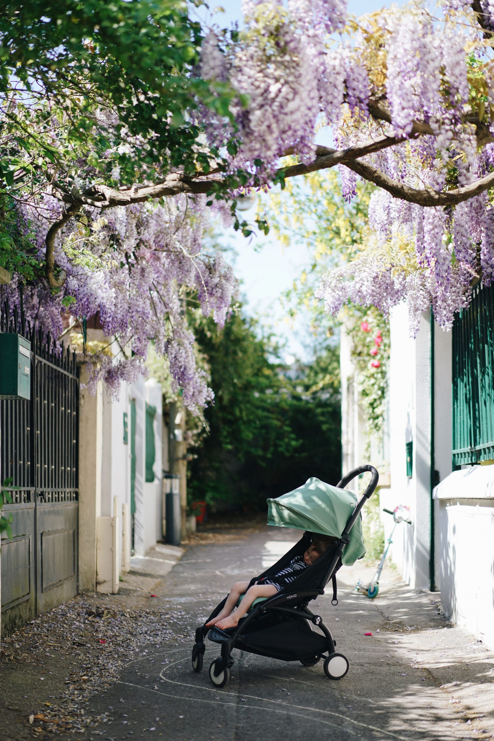 Sieste sous la glycine