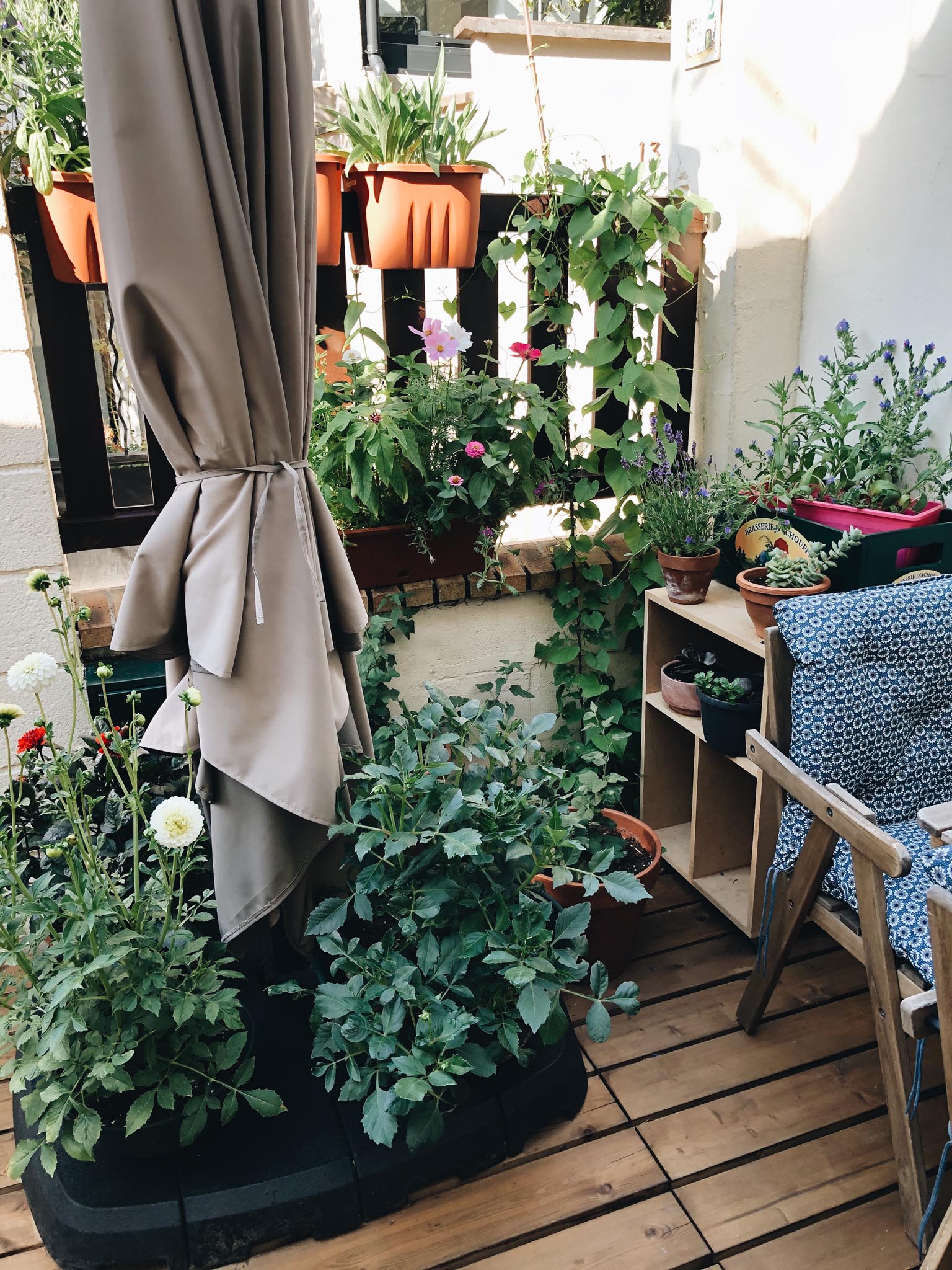 terrasse en bois