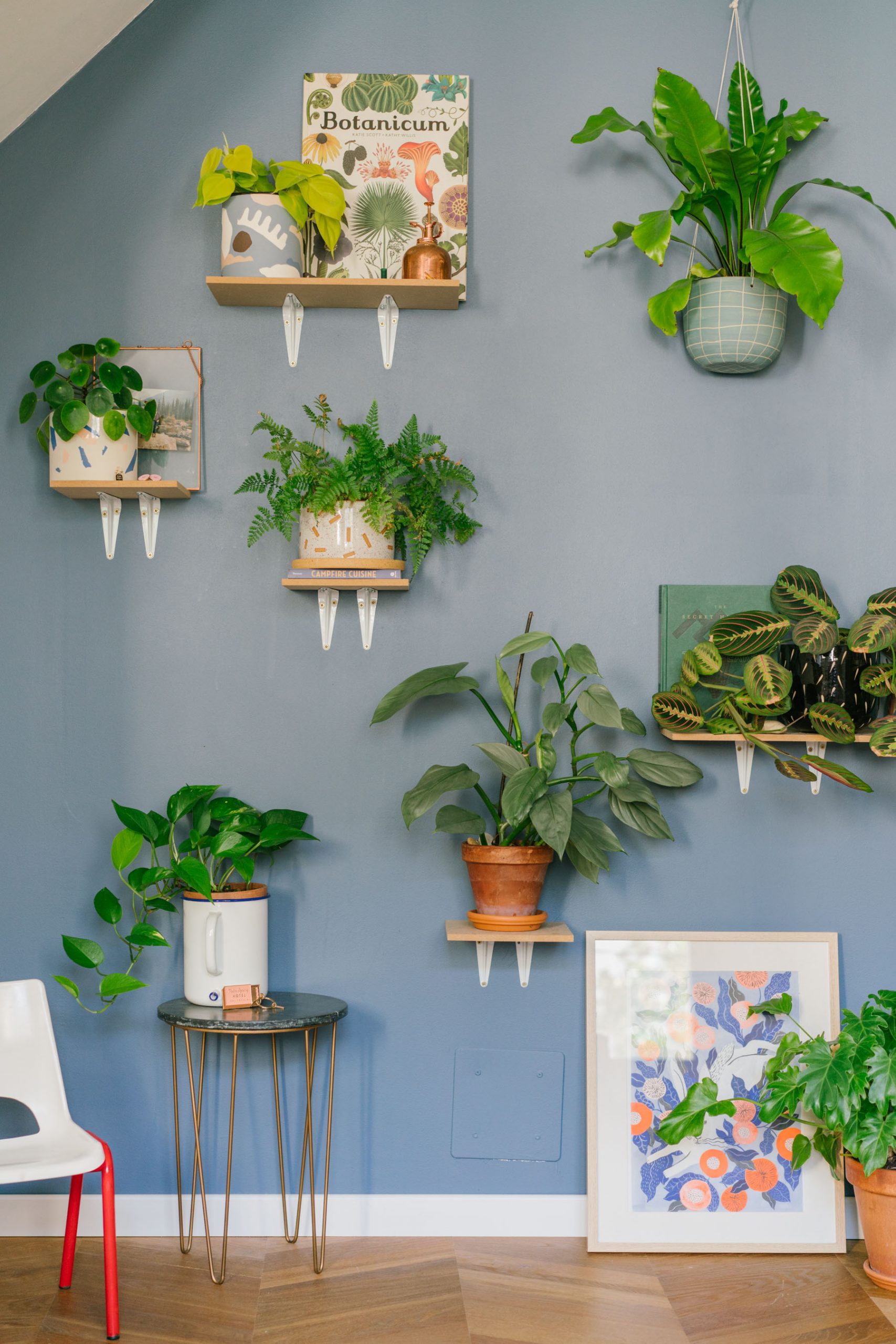 mur de plantes dans un salon