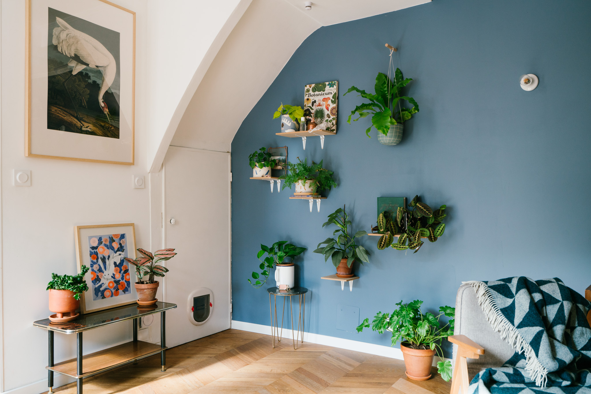 mur de plantes dans un salon