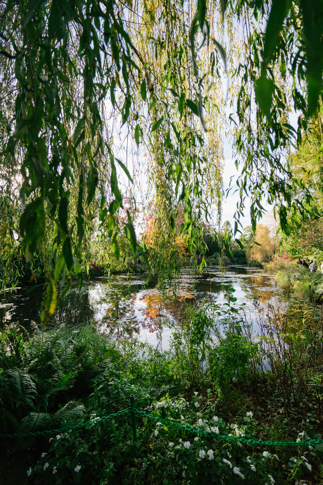 jardin fondation monet nymphéas