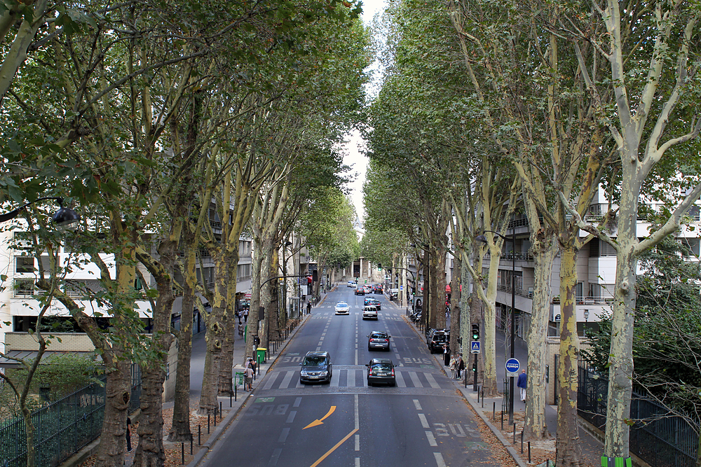 Pont Bercy