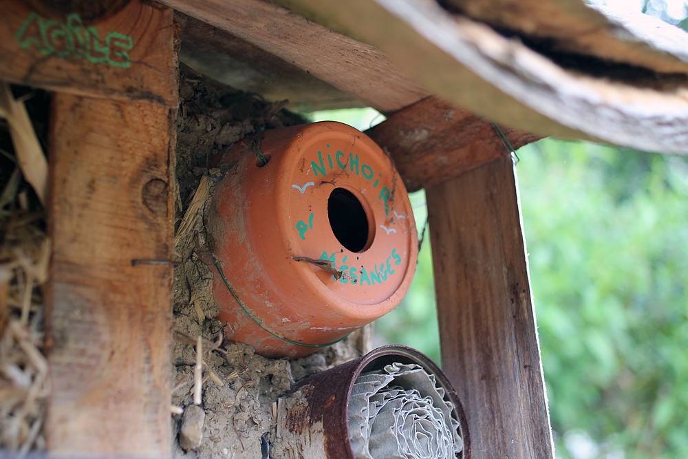 Cabane à oiseau