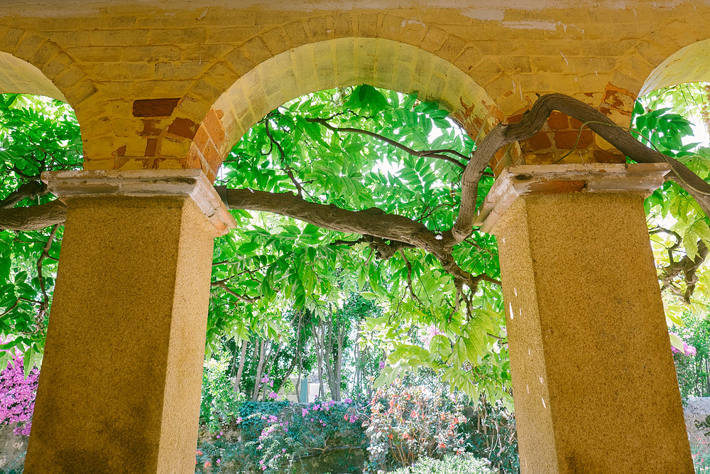 abbaye de lérins