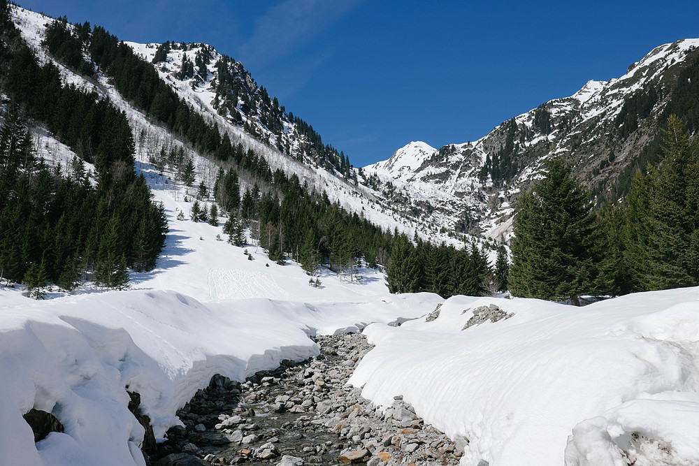 arêches beaufort