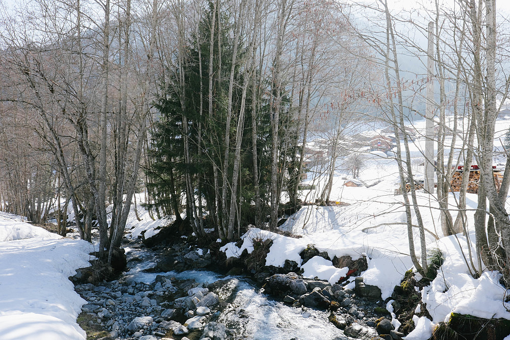 arêches-beaufort