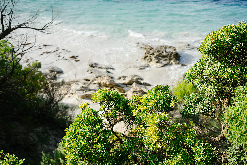 vivonne bay kangaroo island