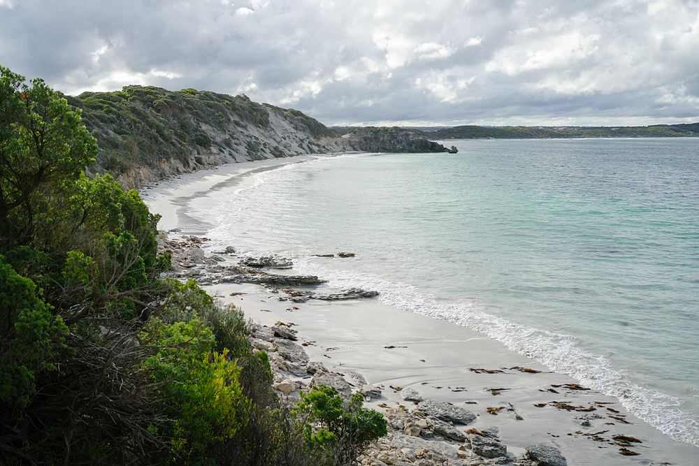 vivonne bay kangaroo island