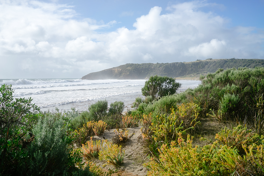 plage kangaroo island