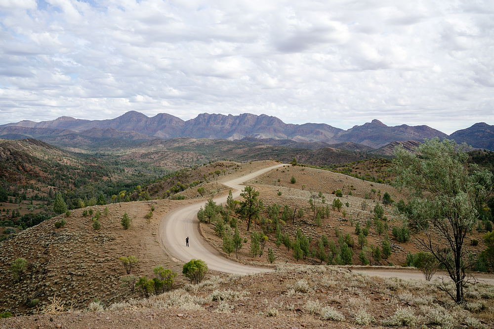 flinders ranges