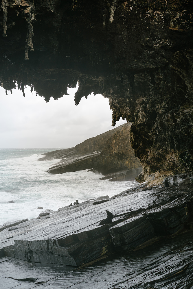 Admirals Arch kangaroo island