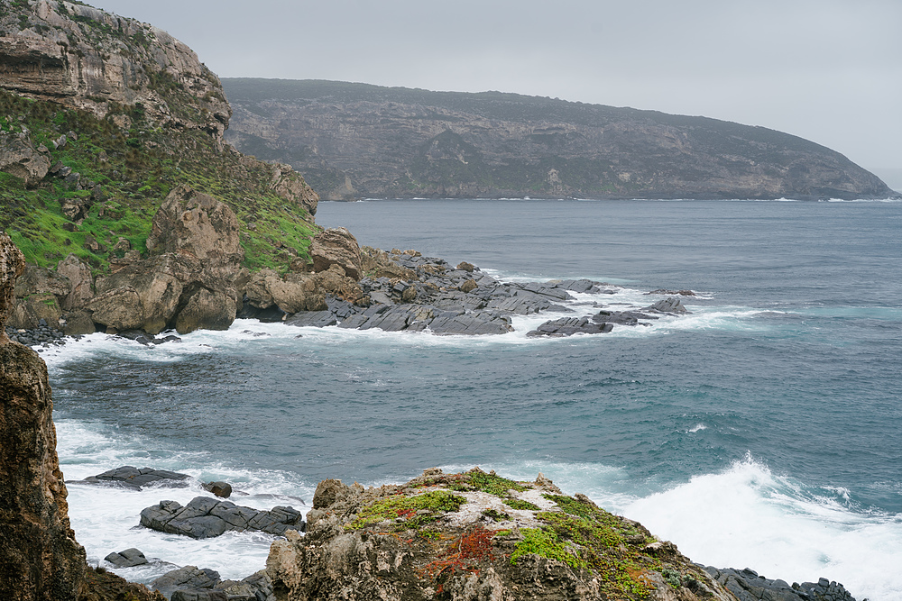 cote kangaroo island