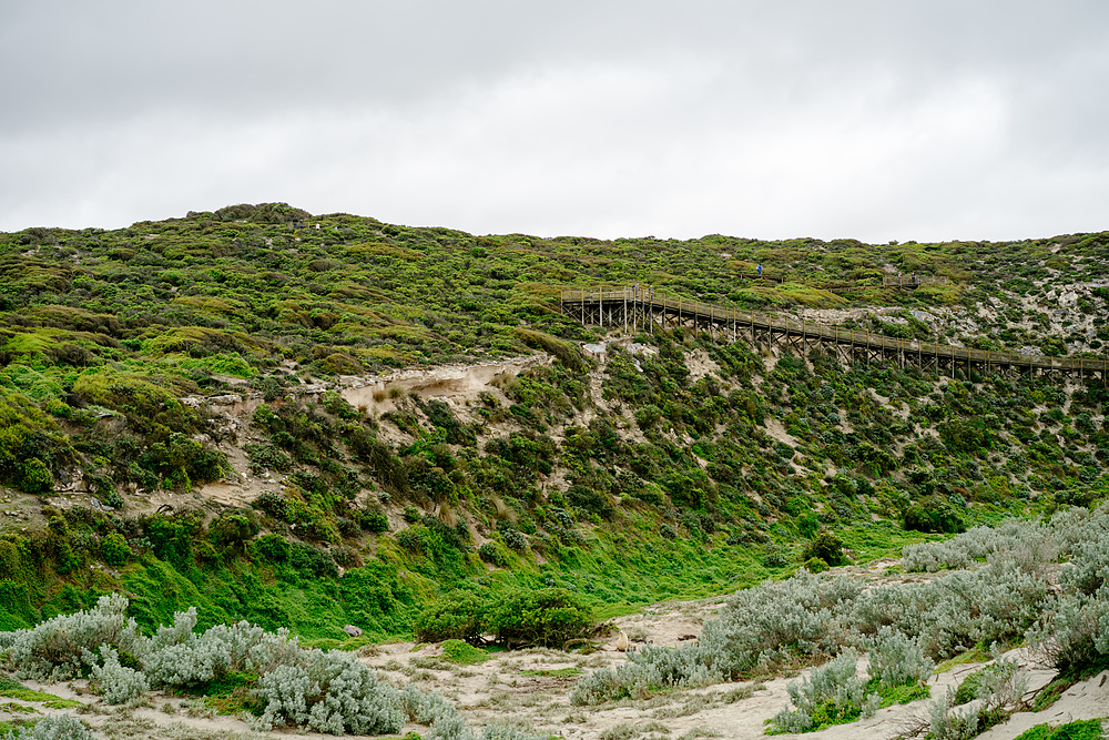 kangaroo island