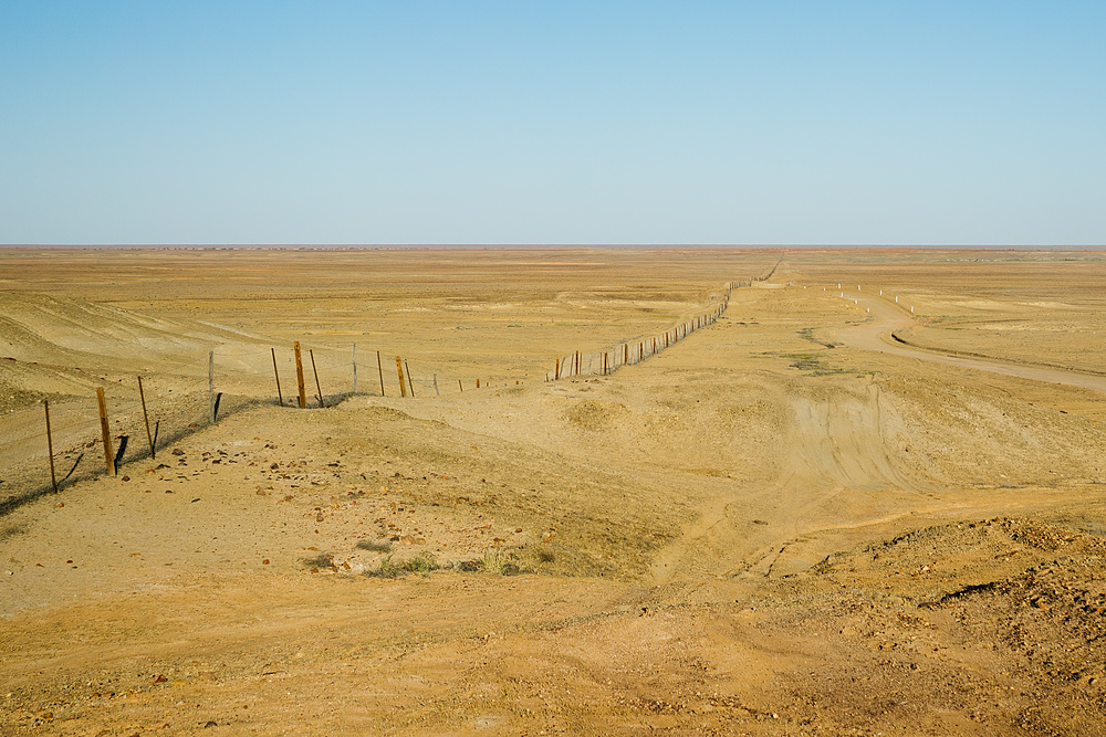 barrière anti-dingos en australie