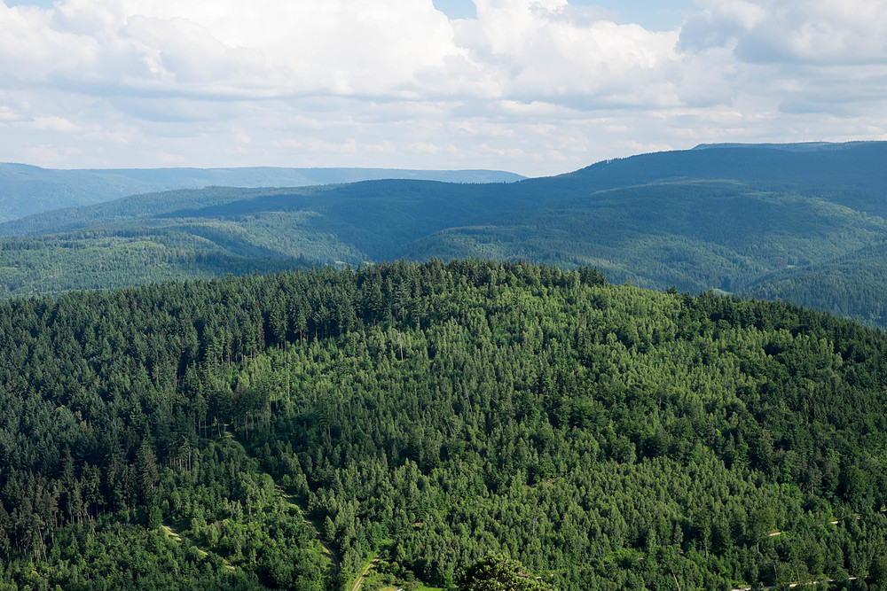 vue depuis le mont merkur à baden baden