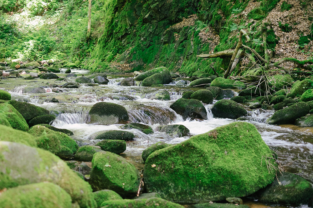 cascades de Geroldsau baden-baden