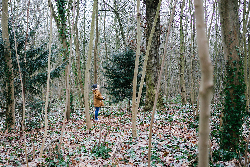 bois de vincennes en hiver