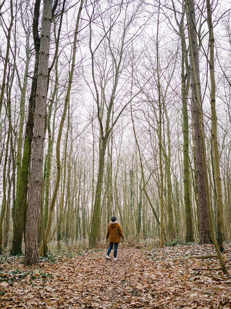 balade au bois de vincennes