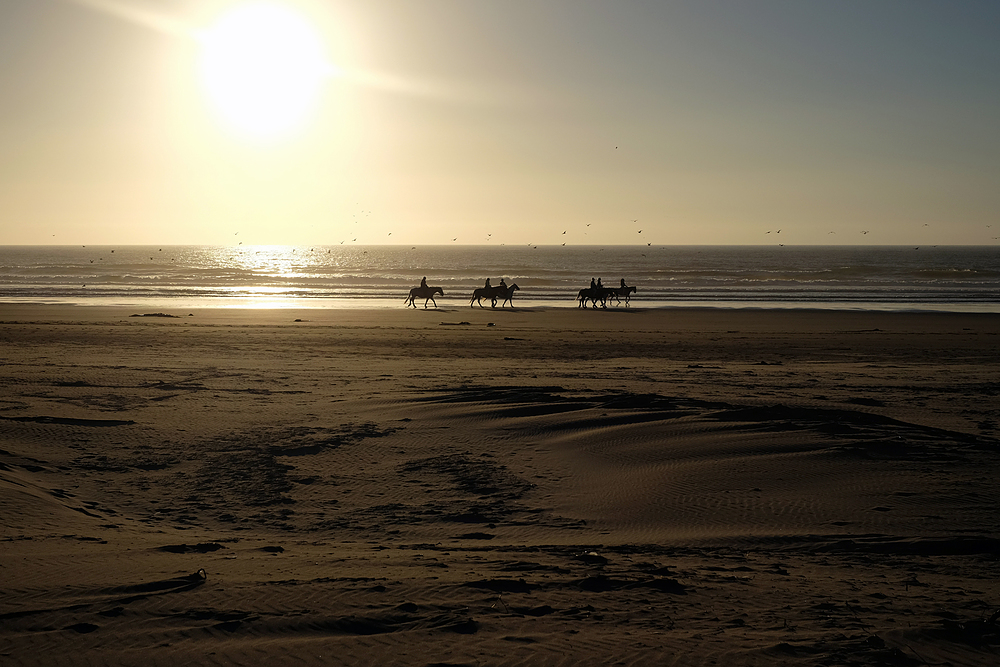 sunset bandon horses
