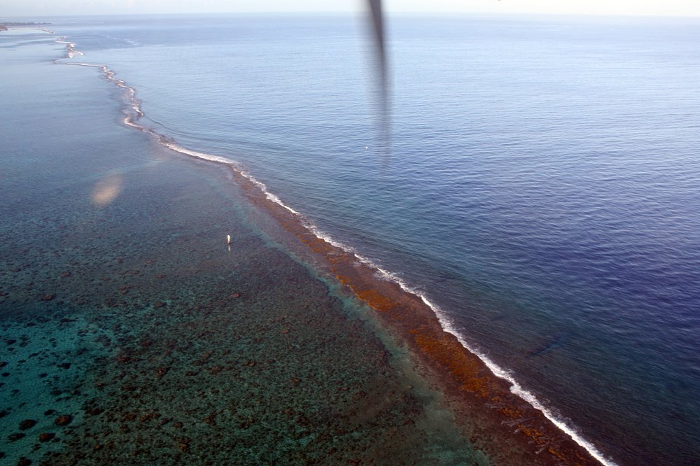 Barrière de corail Polynésie