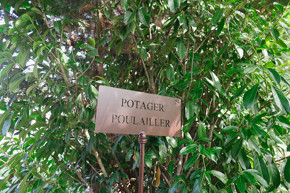 panneau poulailler